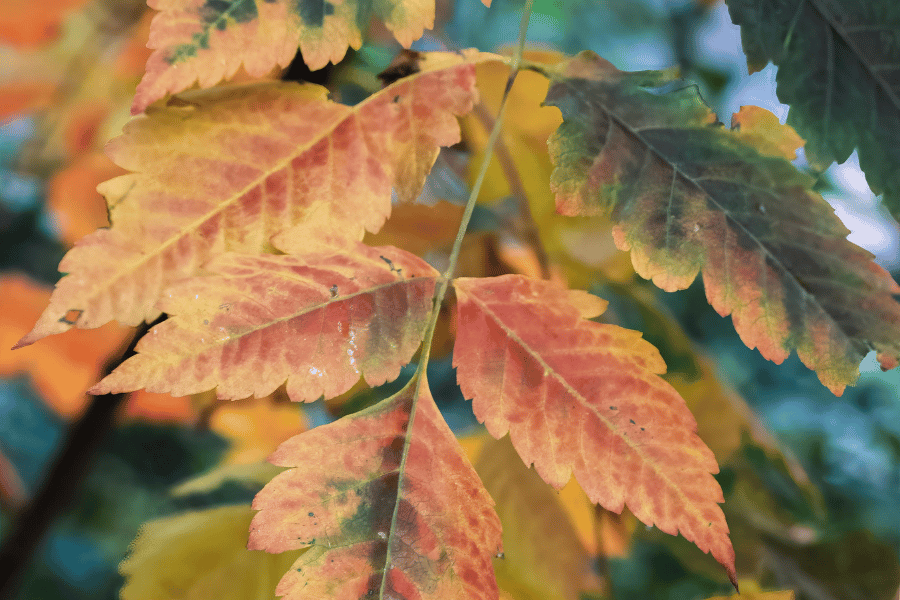 How to Keep Babies Comfortable Through Seasonal Weather Changes